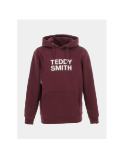 Sweat à capuche siclass bordeaux homme - Teddy Smith