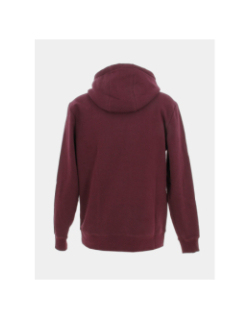 Sweat à capuche siclass bordeaux homme - Teddy Smith