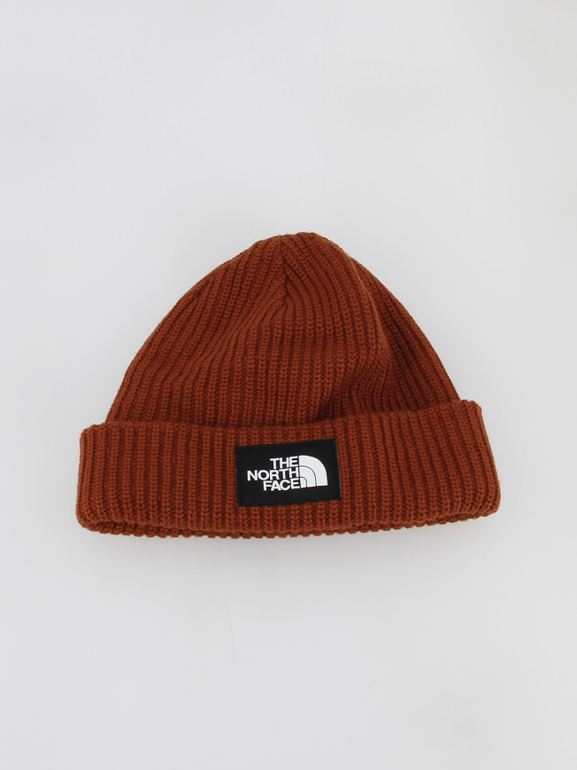 Bonnet salty dog lined marron - The North Face