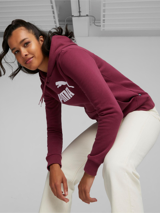 Sweat a capuche essential logo bordeaux femme Puma