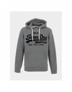 Sweat à capuche tonal logo gris anthracite homme - Superdry