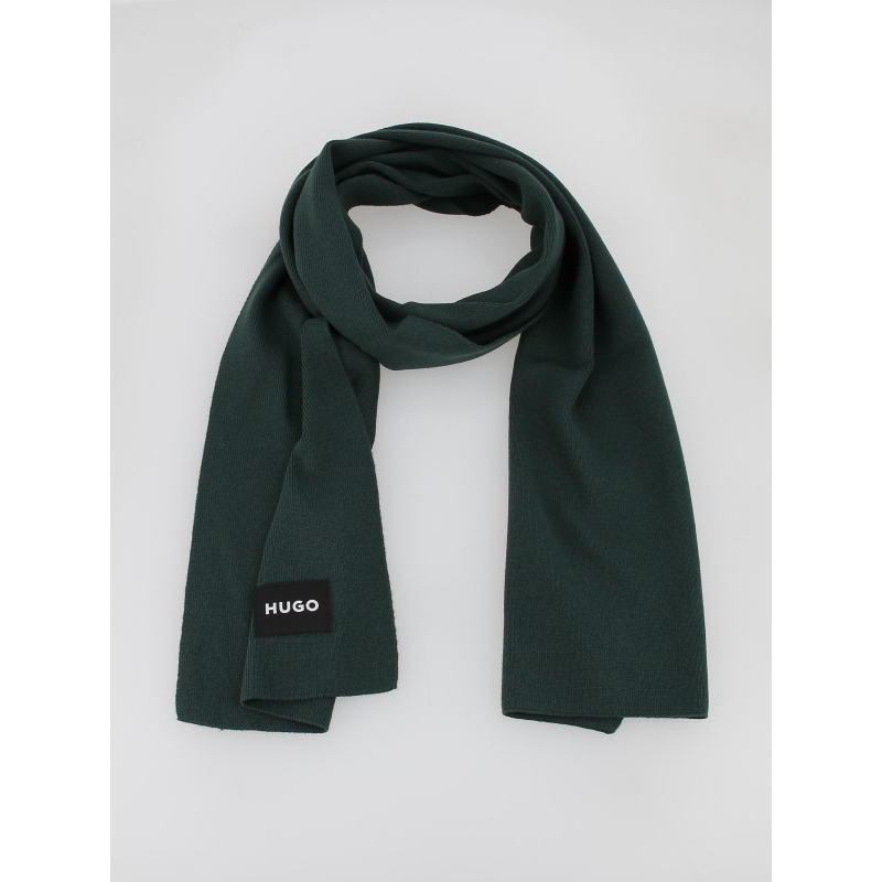 Echarpe zevon uni vert homme - Hugo