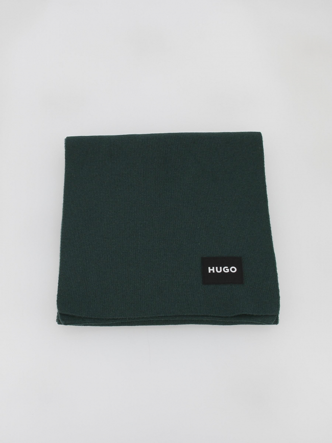 Echarpe zevon uni vert homme - Hugo