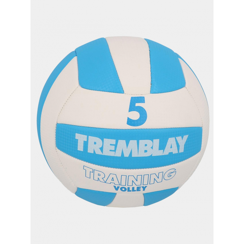 Ballon de Volleyball T5 blanc/bleu - Tremblay