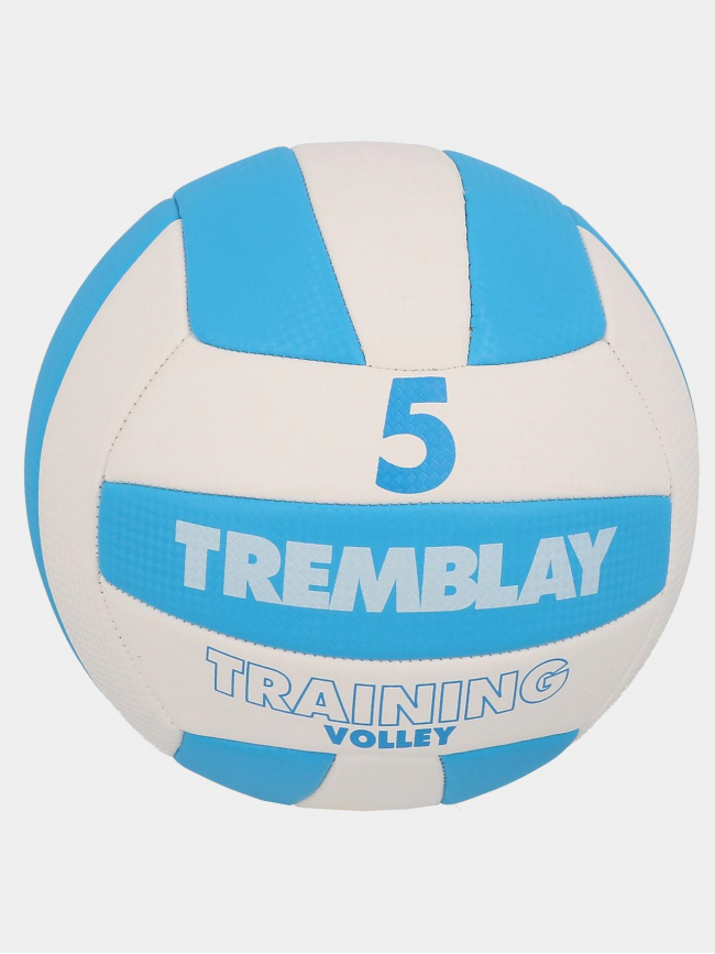 Ballon de Volleyball T5 blanc/bleu - Tremblay