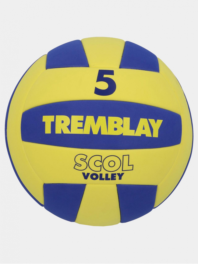 Ballon de Volleyball T5 jaune/violet - Tremblay