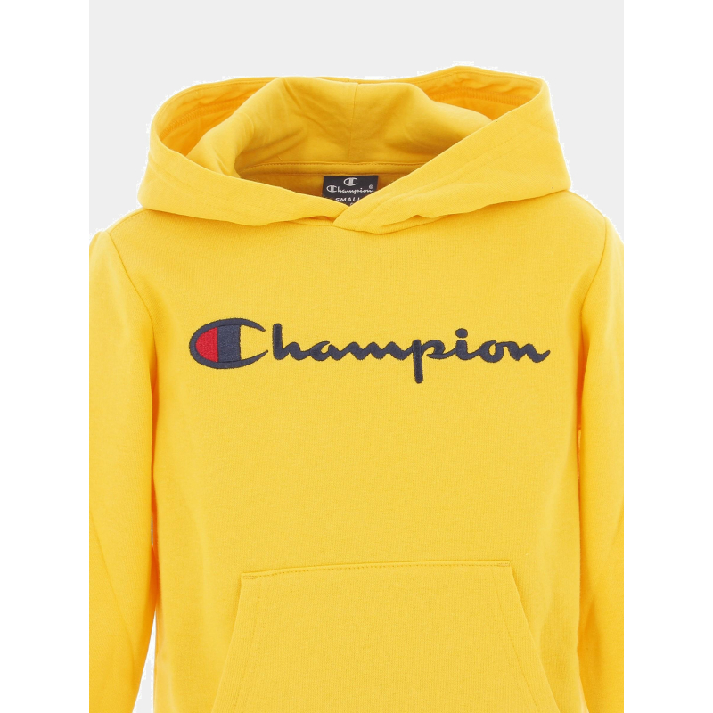 Vêtements Sweat Champion Junior 12 Ans Sweat à Capuche Logo Brodé