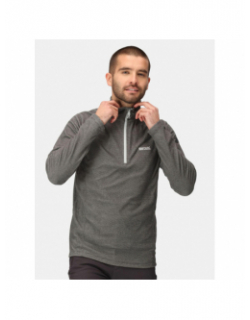 Sweat polaire col zippé montes gris homme - Regatta