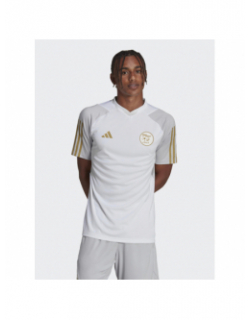 T-shirt de football algérie 2022 blanc homme - Adidas