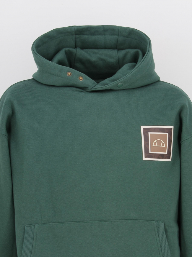 Sweat à capuche prerro logo dos vert homme - Ellesse