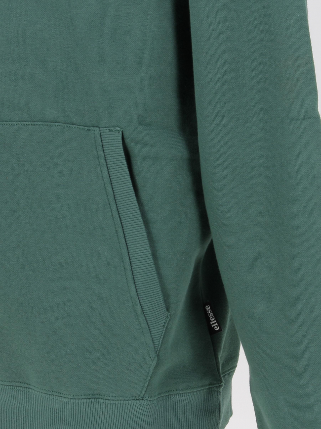 Sweat à capuche prerro logo dos vert homme - Ellesse