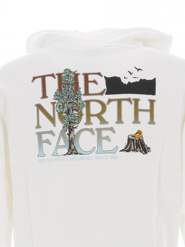 Sweat à capuche seasonal graphic blanc homme - The North Face