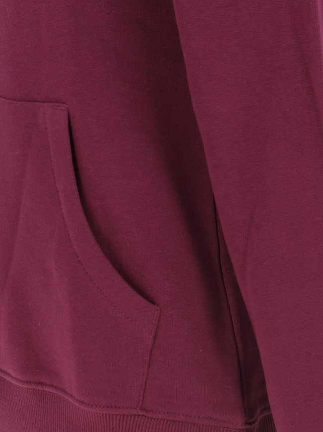 Sweat à capuche simple dome violet femme - The North Face