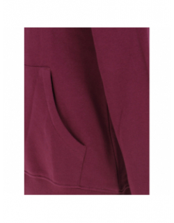 Sweat à capuche simple dome violet femme - The North Face