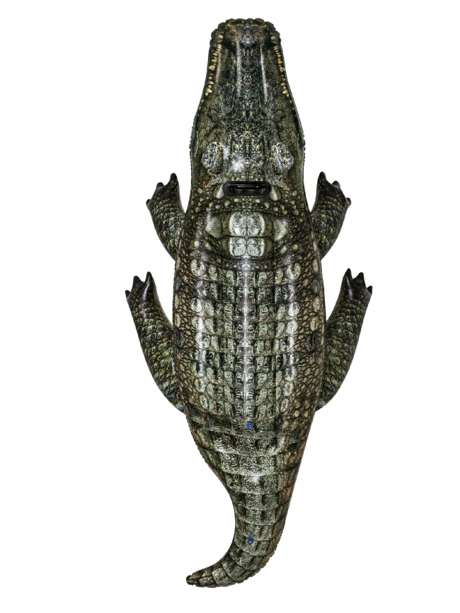 Bouée gonflable de piscine crocodile - Bestway