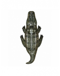 Bouée gonflable de piscine crocodile - Bestway