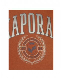 Sweat à capuche edvin marron garçon - Kaporal