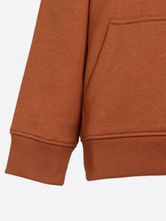 Sweat à capuche edvin marron garçon - Kaporal