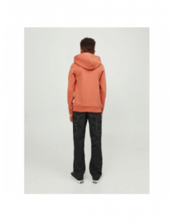 Sweat à capuche lakewood orange garçon - Jack & Jones