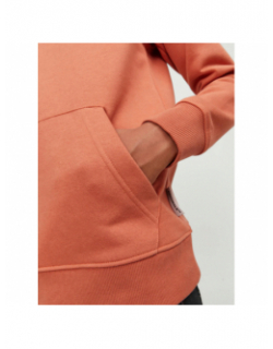 Sweat à capuche lakewood orange garçon - Jack & Jones