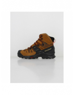 Chaussures de randonnée quest 4 gtx marron homme - Salomon