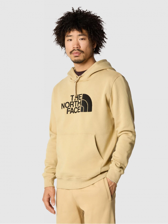 Sweat à capuche drew peak beige homme - The North Face