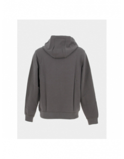 Sweat à capuche daratschi gris anthracite homme - Hugo