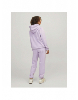 Sweat à capuche abbie relax violet femme - Jjxx