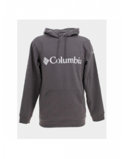 Sweat à capuche csc basic logo II anthracite - Columbia