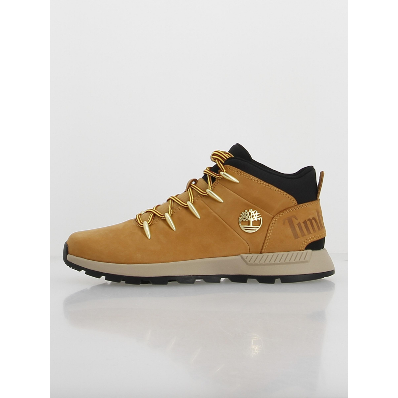 Baskets montantes sprint trekker camel homme - Timberland