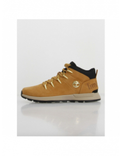 Baskets montantes sprint trekker camel homme - Timberland