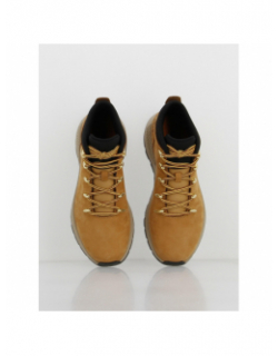 Baskets montantes sprint trekker camel homme - Timberland