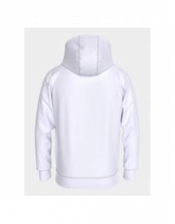 Sweat à capuche regular linear logo blanc homme - Tommy Jeans