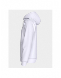 Sweat à capuche regular linear logo blanc homme - Tommy Jeans