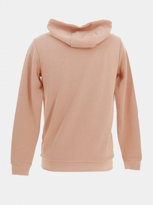 Sweat à capuche steele rose homme - Benson & Cherry