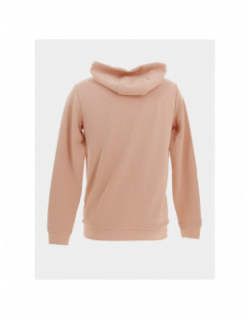 Sweat à capuche steele rose homme - Benson & Cherry