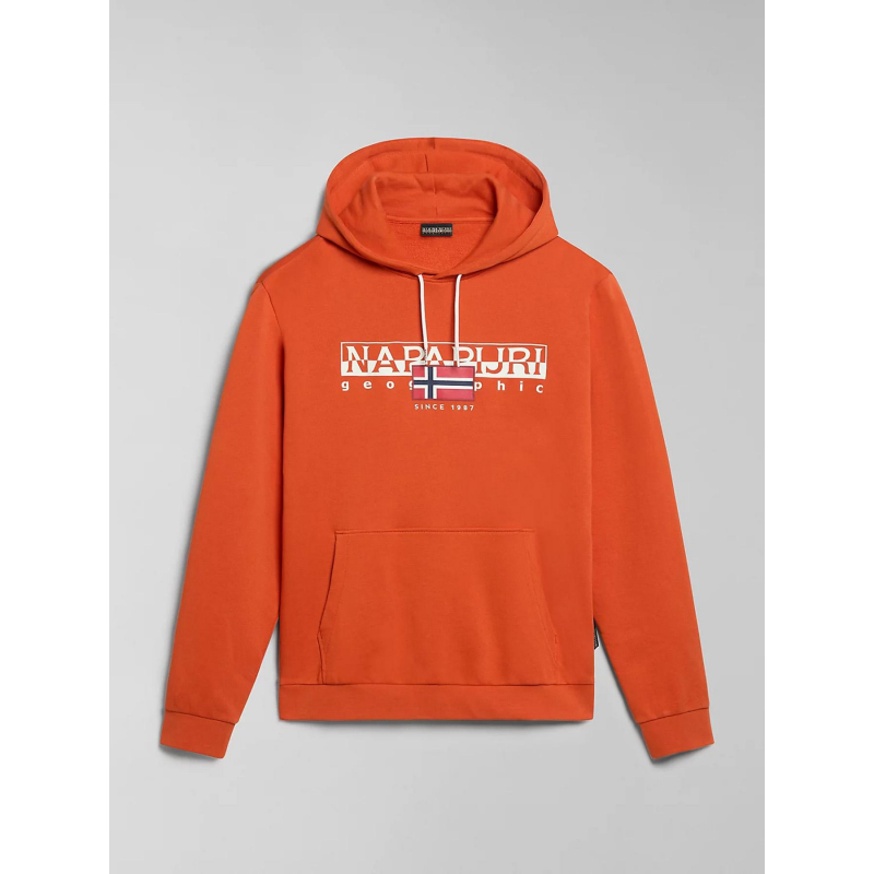 Sweat à capuche aylmer orange homme - Napapijri