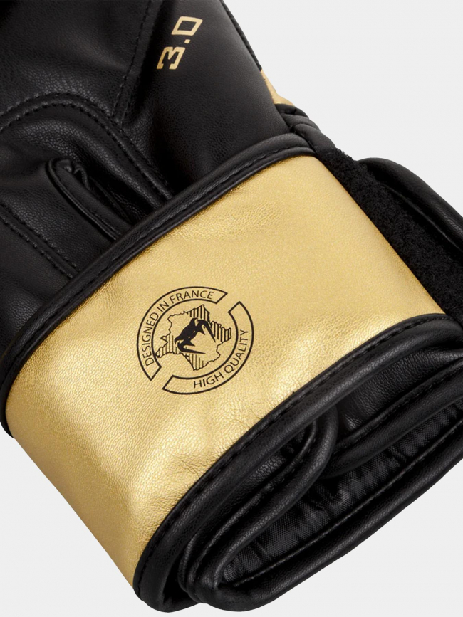 Gants de boxe challenger 3.0 noir doré - Venum