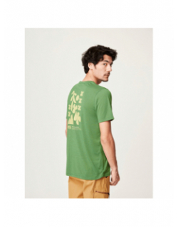 T-shirt timont vert homme - Picture