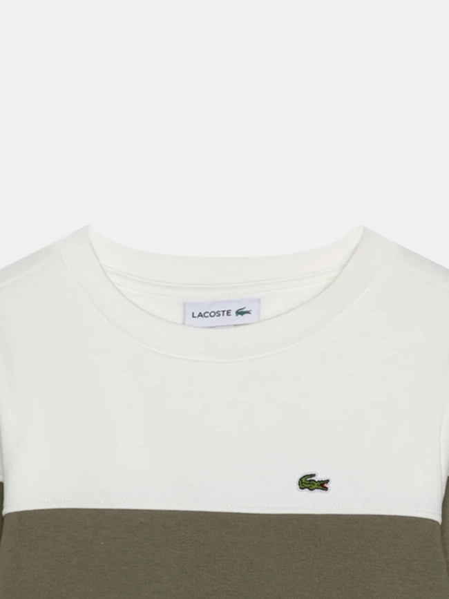 Sweat bicolore kaki blanc garçon - Lacoste