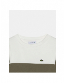 Sweat bicolore kaki blanc garçon - Lacoste