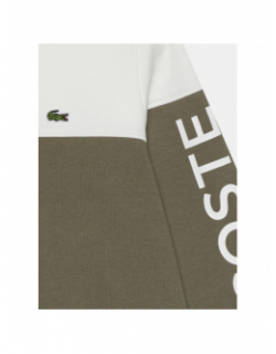 Sweat bicolore kaki blanc garçon - Lacoste