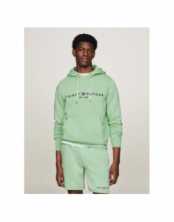 Sweat à capuche logo hoody vert homme - Tommy Hilfiger