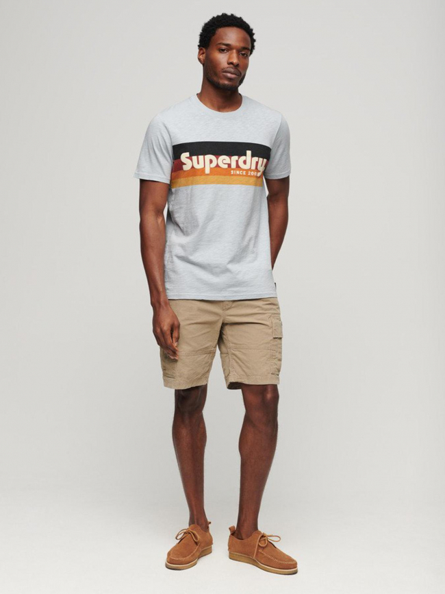 T-shirt classique rayure logo cali homme - Superdry