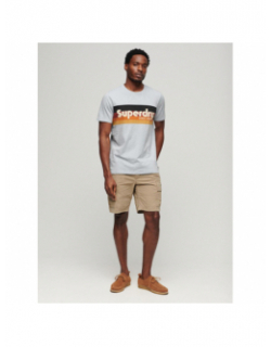 T-shirt classique rayure logo cali homme - Superdry