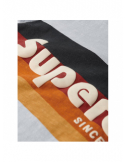 T-shirt classique rayure logo cali homme - Superdry