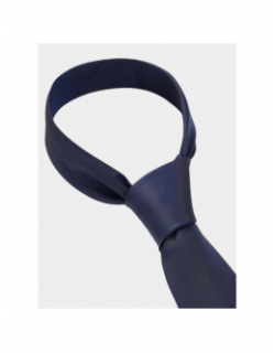 Cravate tie cm 6 rayures bleu homme - Hugo