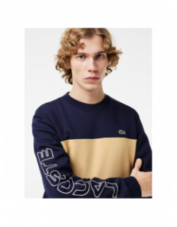 Sweatshirt logo brodé bicolore bleu marine homme - Lacoste