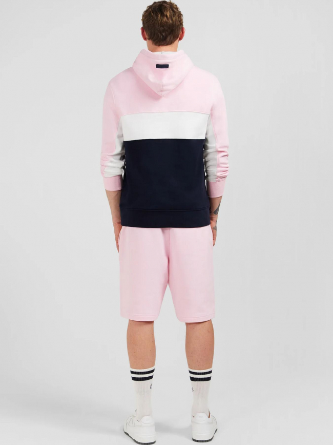 Sweat à capuche colorblock girondin bleu rose homme - Eden Park