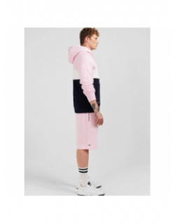 Sweat à capuche colorblock girondin bleu rose homme - Eden Park